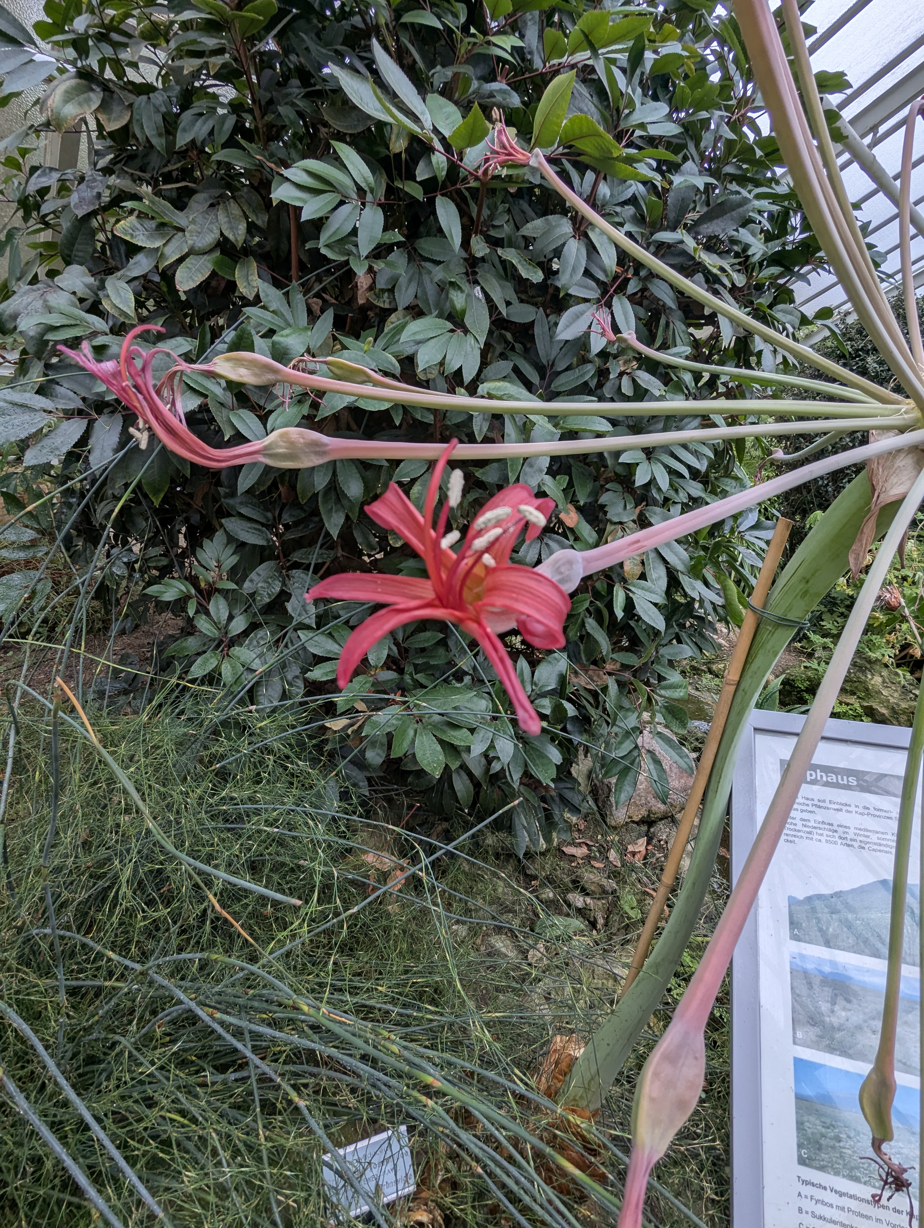 Botonic Gardens, Muenster, Germany